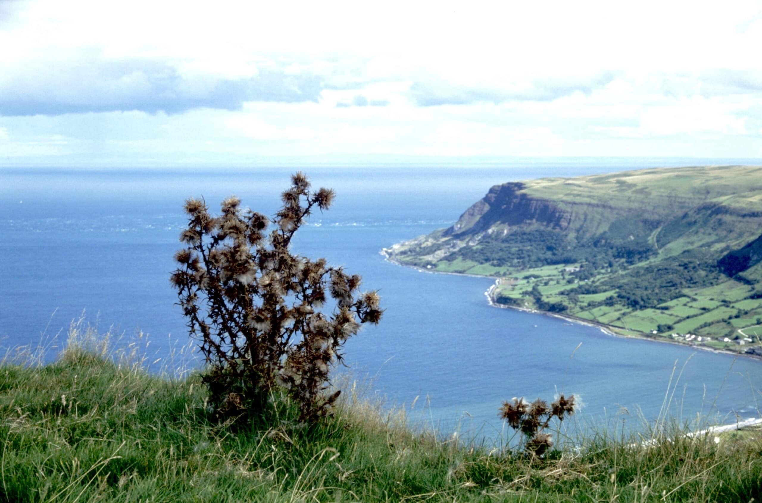 View from the Irish coast (photo: Laurence Perkins)