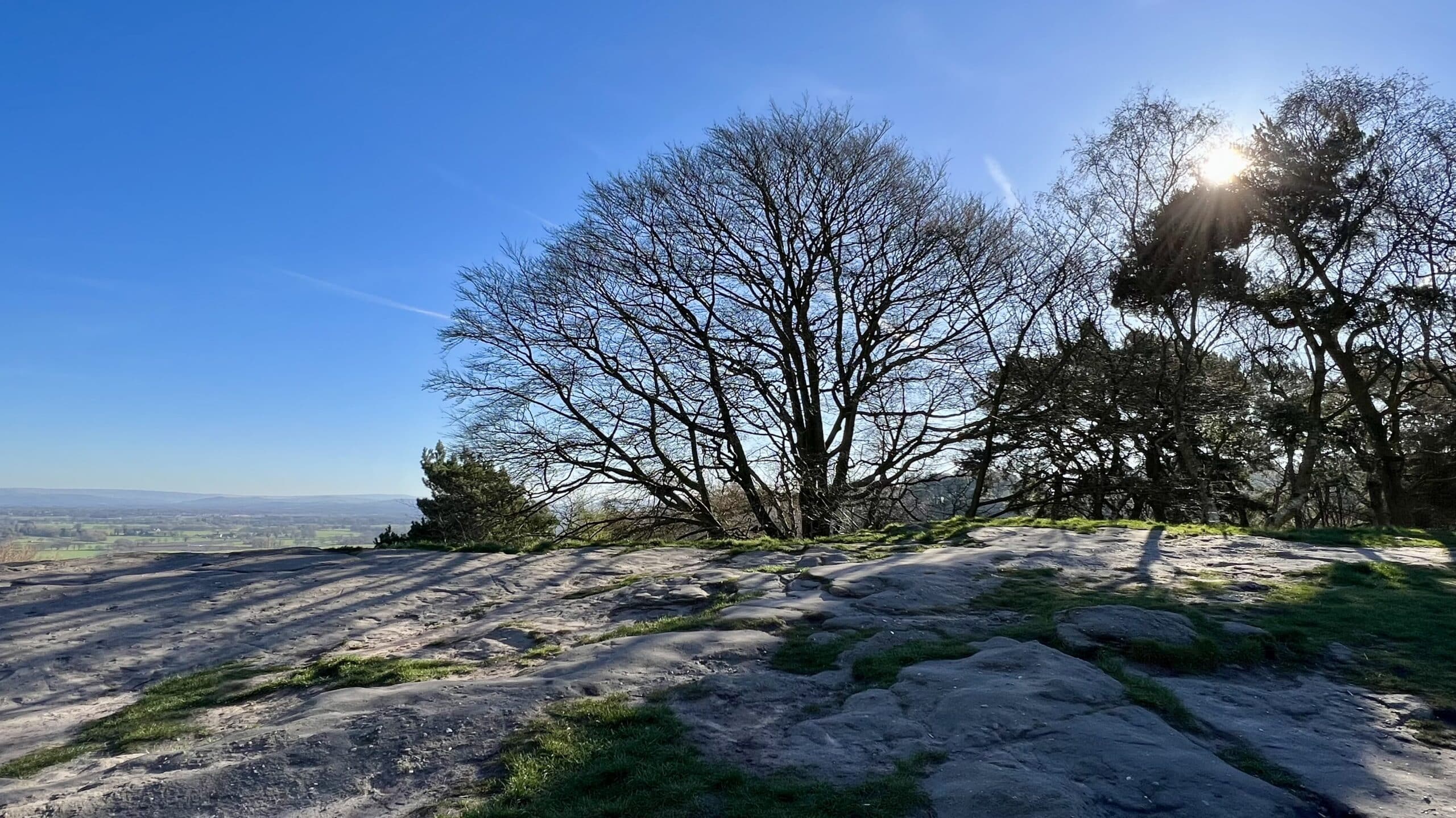 Alderley Edge, Cheshire (photo: Laurence Perkins)