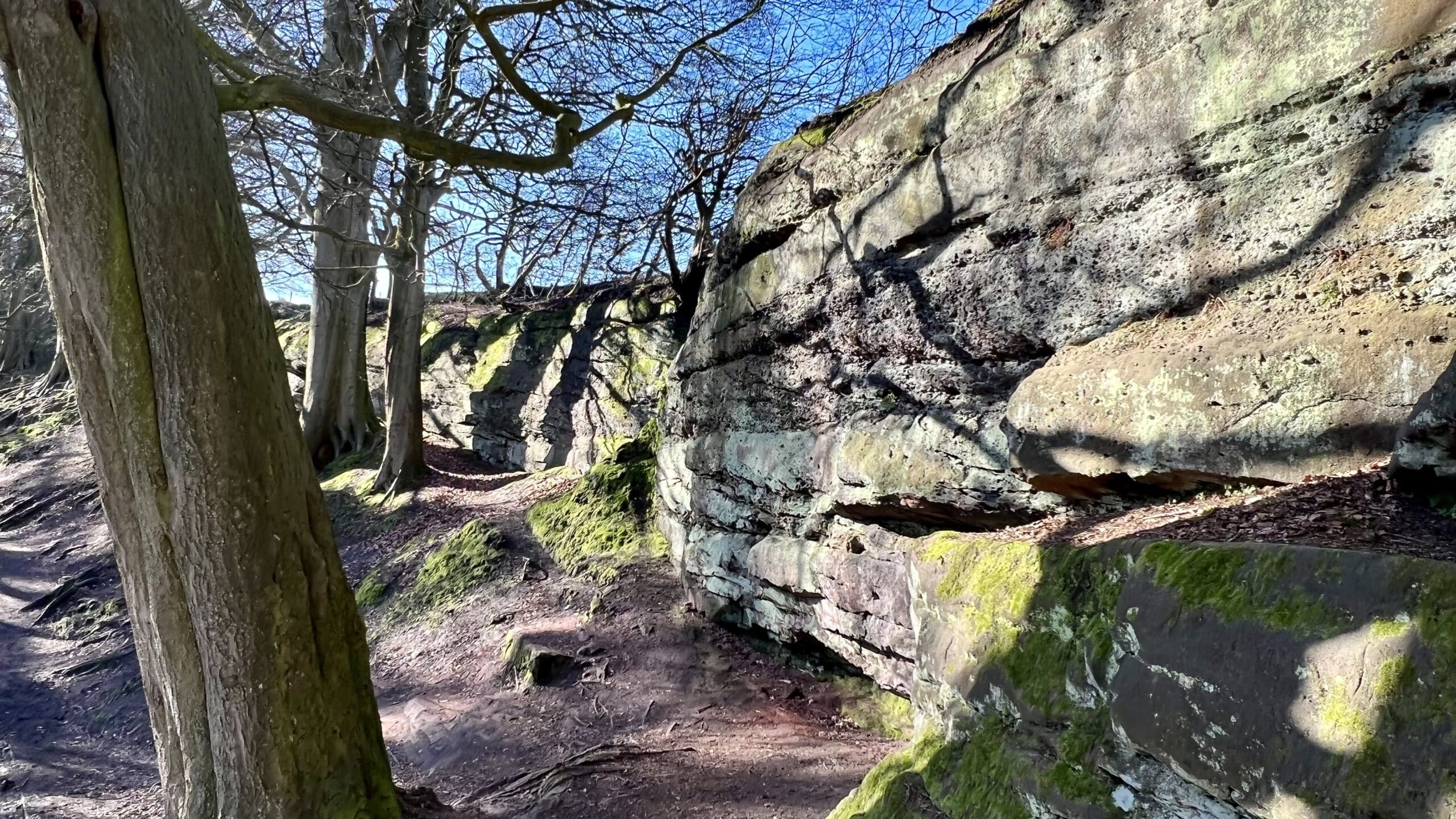 Alderley Edge (photo: Laurence Perkins)