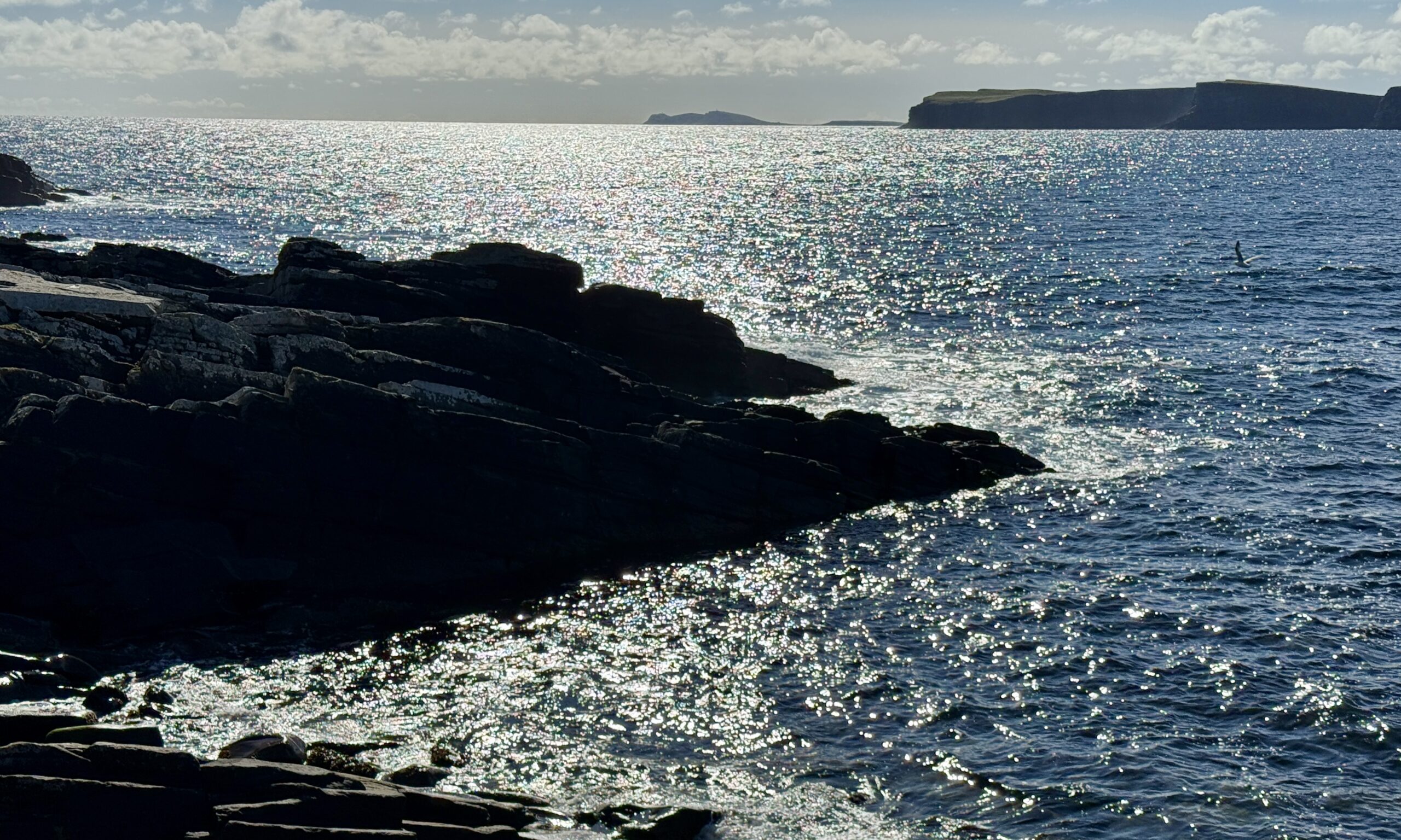 Shetland seascape (photo by Laurence Perkins)